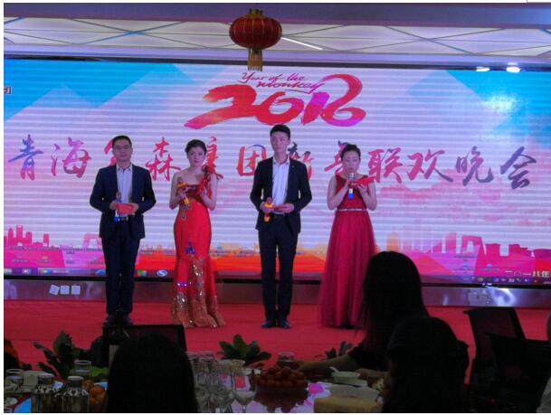 青海富森集团2018年新年联欢晚会