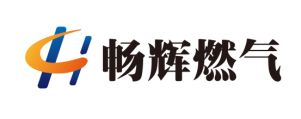王华杰市长调研两化天然气项目推进情况